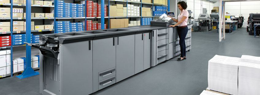 Sander - Banner