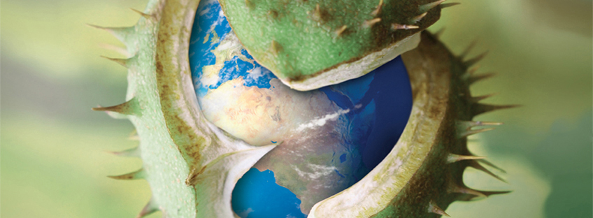 Sander - Banner